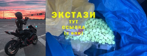 хмурый Аркадак
