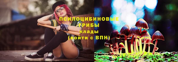 хмурый Аркадак