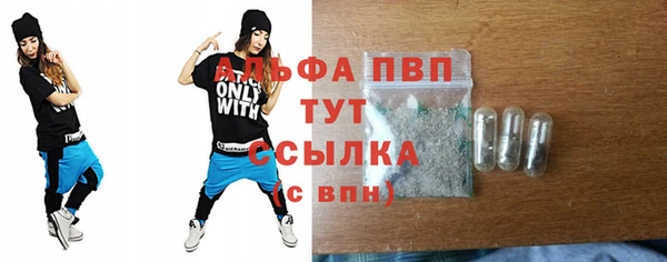 хмурый Аркадак