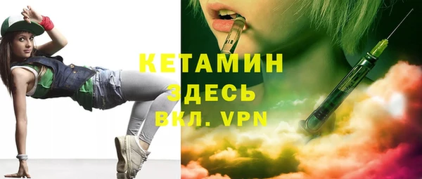 хмурый Аркадак