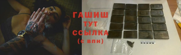 хмурый Аркадак