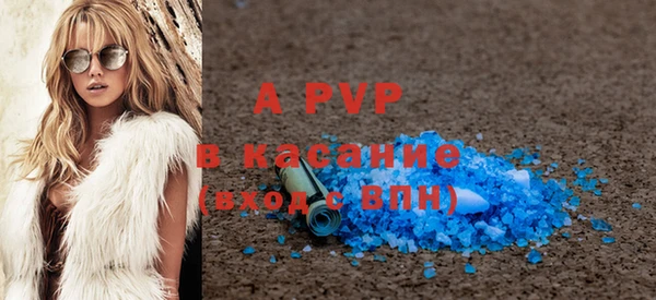 хмурый Аркадак