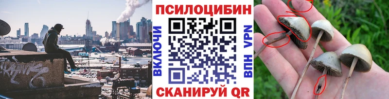Галлюциногенные грибы Psilocybine cubensis Николаевск-на-Амуре