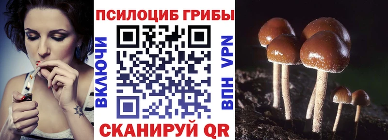 Галлюциногенные грибы прущие грибы Николаевск-на-Амуре