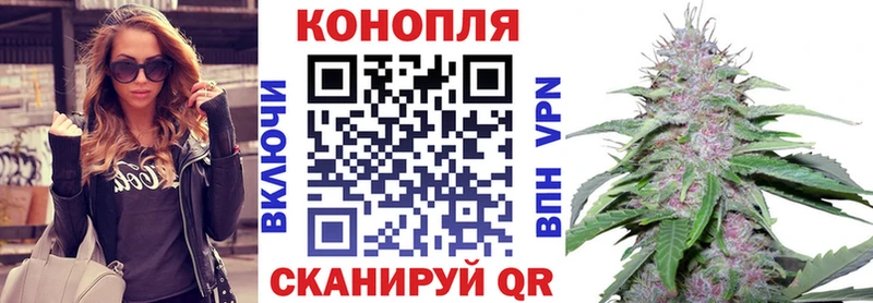 Бошки Шишки тримм  Николаевск-на-Амуре 